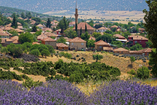 I luoghi di Yusuf di Kuyucak